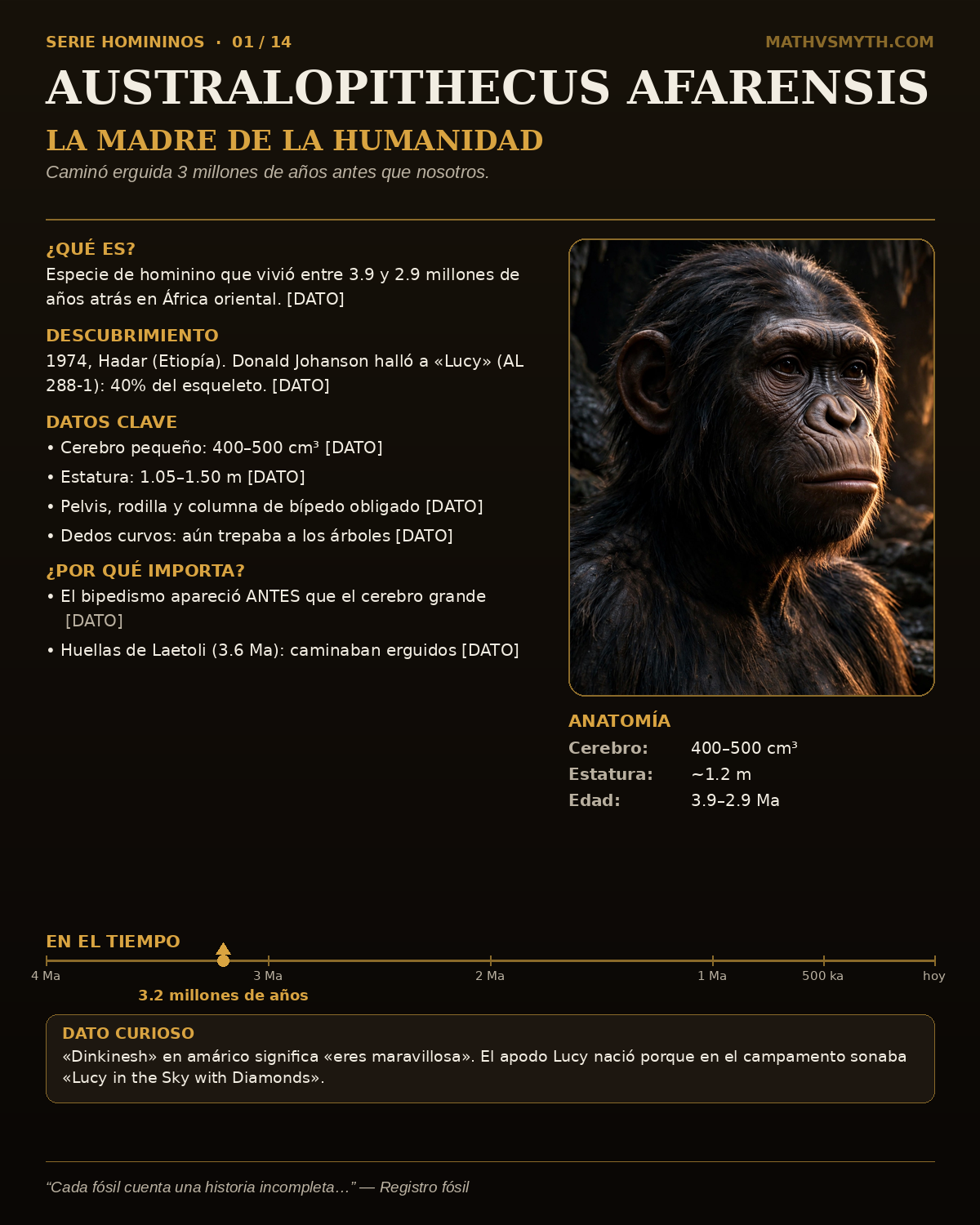 AUSTRALOPITHECUS AFARENSIS — La madre de la humanidad