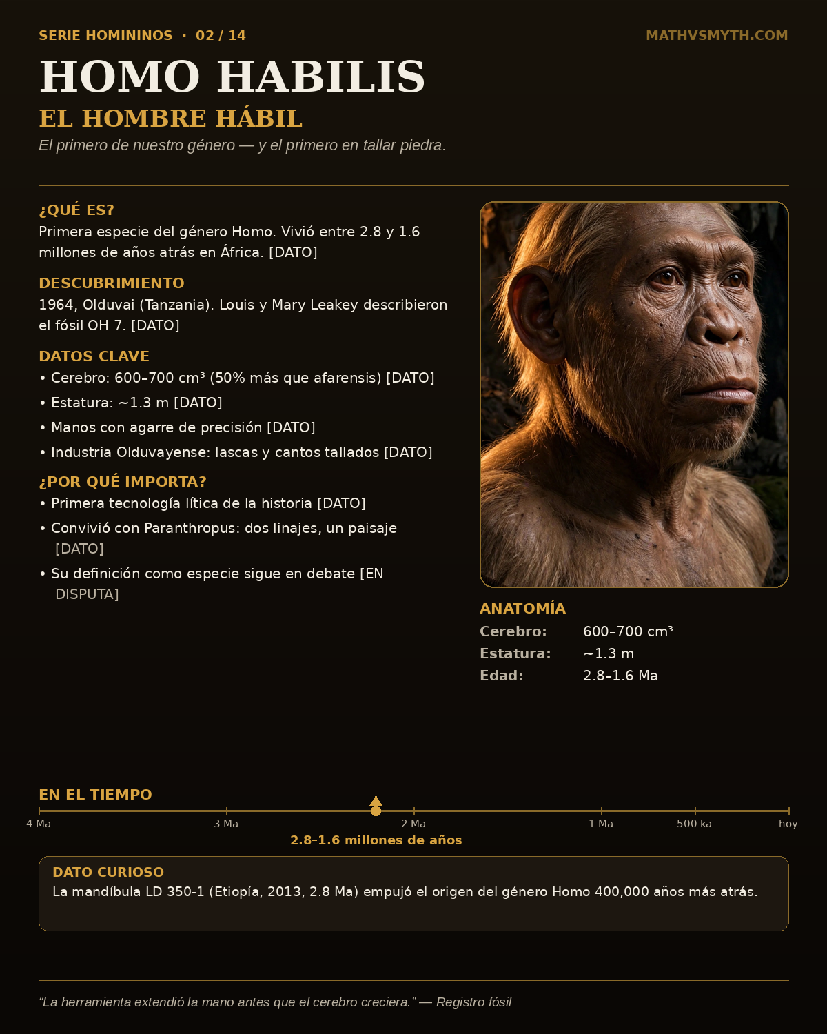 HOMO HABILIS — El hombre hábil