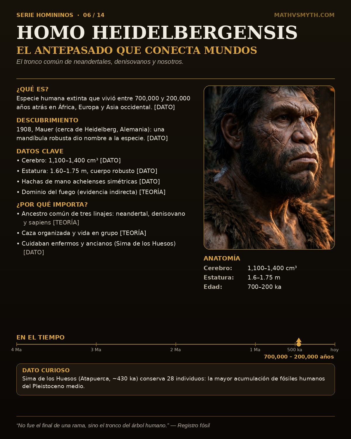 HOMO HEIDELBERGENSIS — El antepasado que conecta mundos