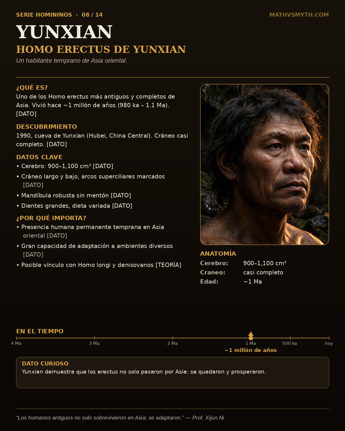 YUNXIAN — Homo erectus de Yunxian
