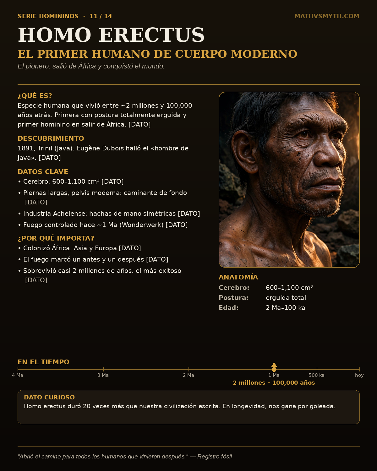 HOMO ERECTUS — El primer humano de cuerpo moderno