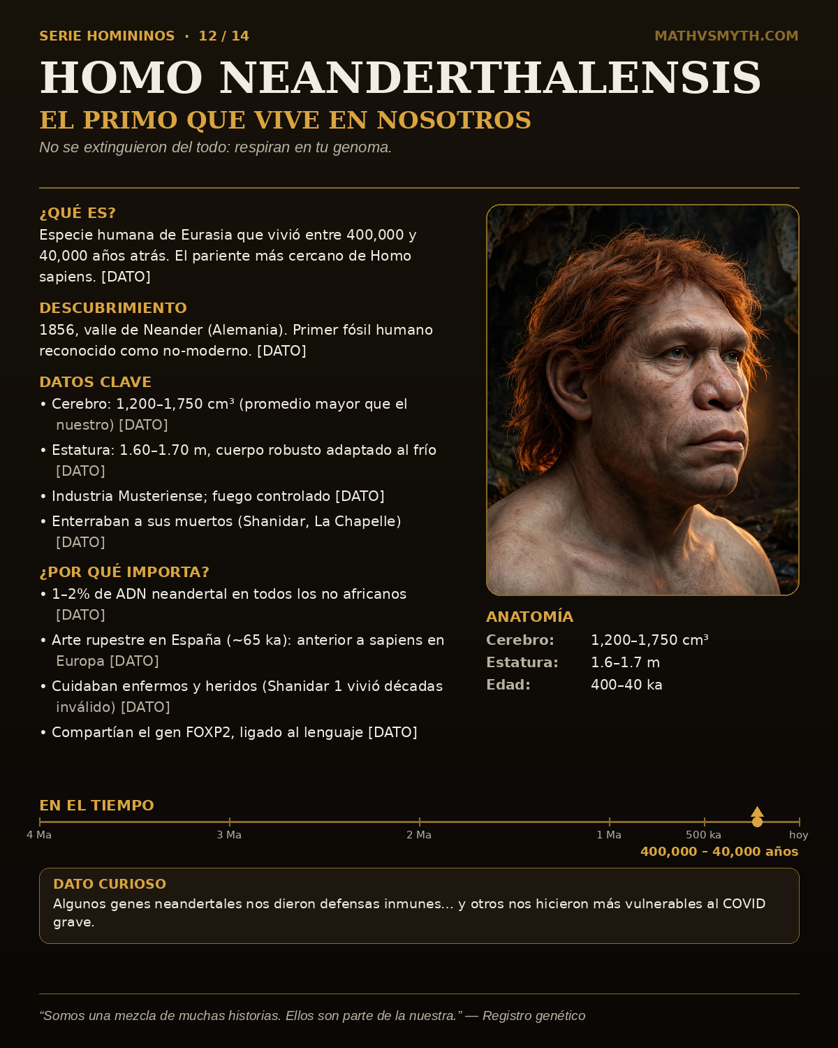 HOMO NEANDERTHALENSIS — El primo que vive en nosotros