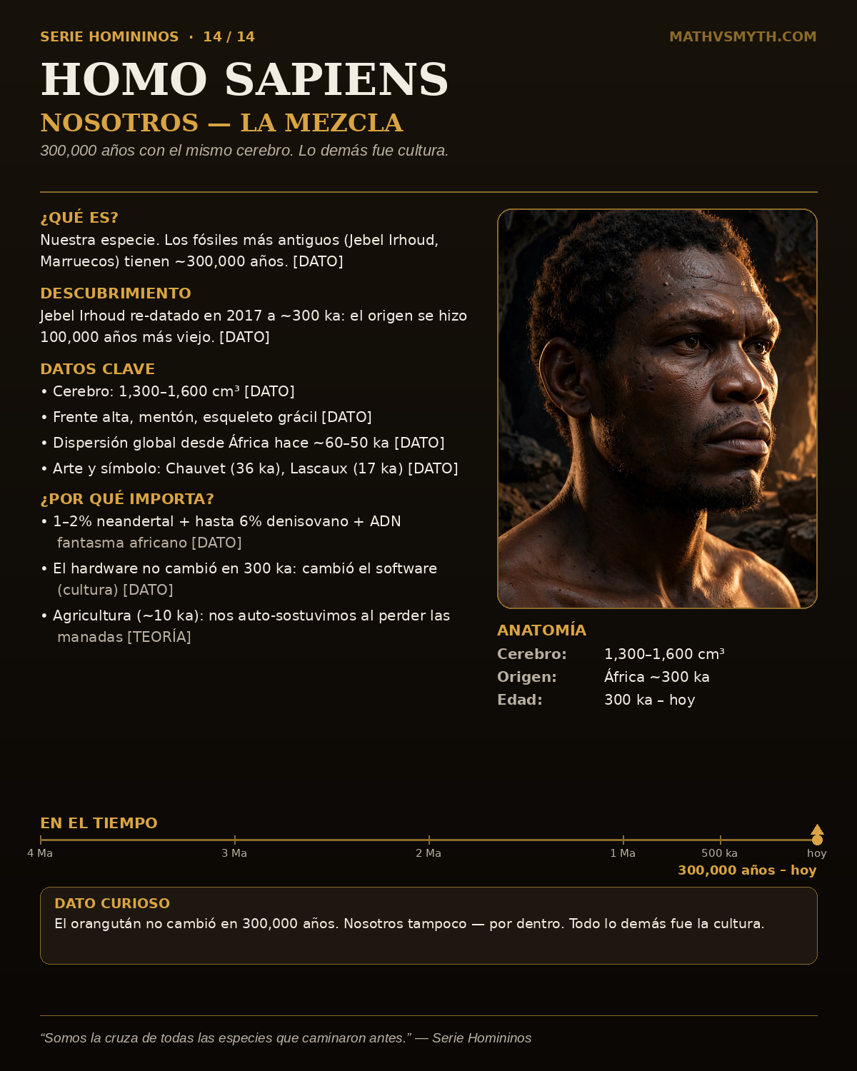 HOMO SAPIENS — Nosotros — la mezcla